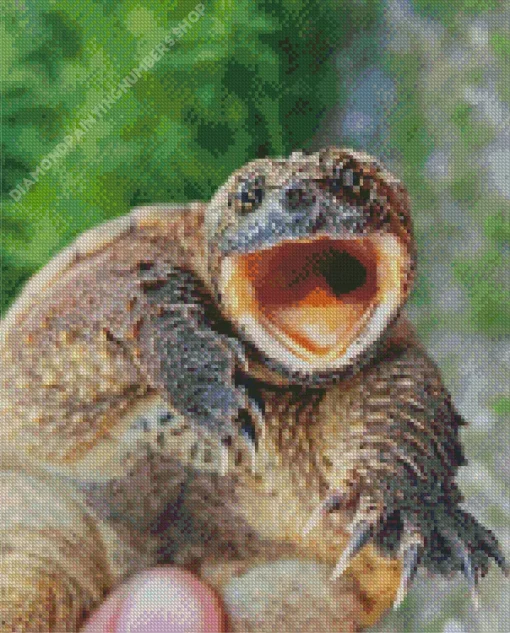 Common Snapping Turtle Diamond Painting