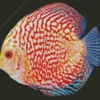 Discus Fish Art Diamond Painting