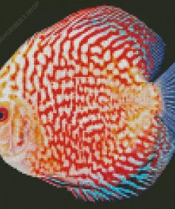 Discus Fish Art Diamond Painting