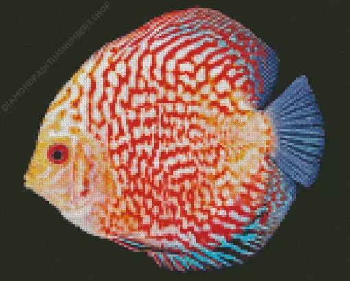 Discus Fish Art Diamond Painting