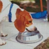 Dog Drinking Water Diamond Painting