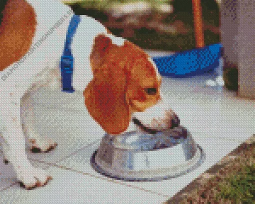 Dog Drinking Water Diamond Painting