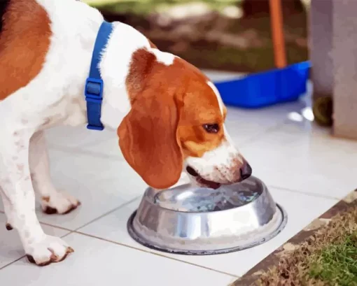 Dog Drinking Water Diamond Painting