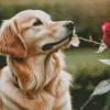 Dog Holding A Rose Diamond Painting
