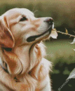 Dog Holding A Rose Diamond Painting