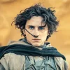 Dune Timothee Chalamet Diamond Painting