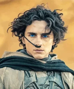 Dune Timothee Chalamet Diamond Painting