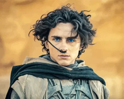 Dune Timothee Chalamet Diamond Painting