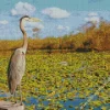 Everglades National Park Diamond Painting
