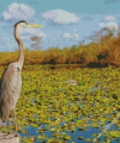 Everglades National Park Diamond Painting