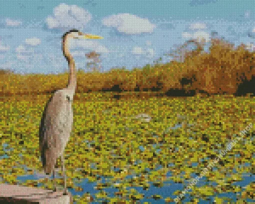 Everglades National Park Diamond Painting