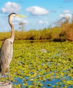Everglades National Park Diamond Painting