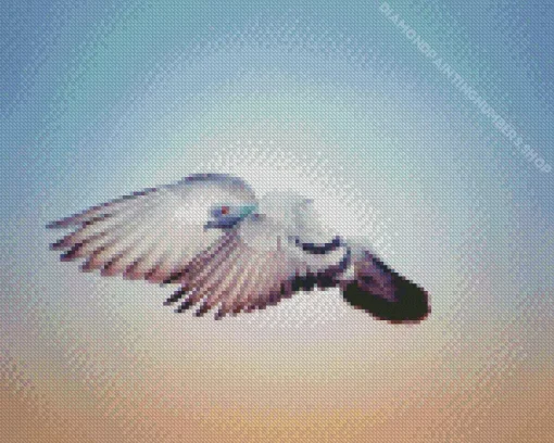 Flying Pigeon Diamond Painting
