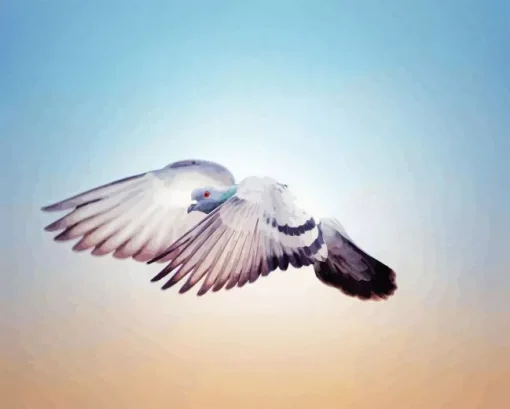 Flying Pigeon Diamond Painting
