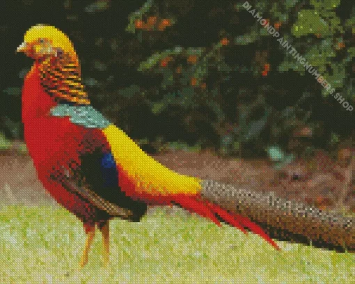Golden Pheasant Diamond Painting