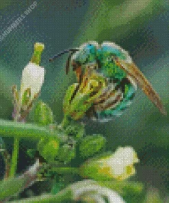Green Bee Insect Diamond Painting
