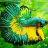 Green Fighter Fish Diamond Painting