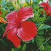 Hawaiian Flower Diamond Painting