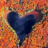 Heart Lake Canada Diamond Painting