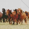 Herd Of Brown Horses Diamond Painting