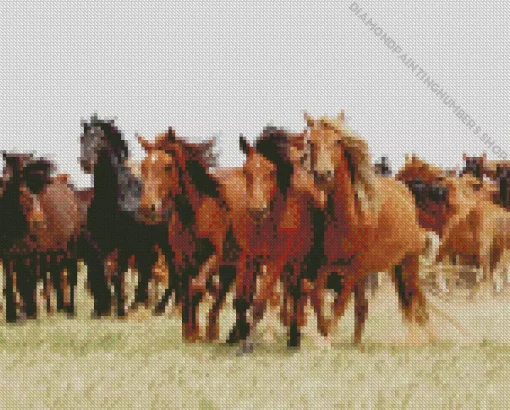 Herd Of Brown Horses Diamond Painting