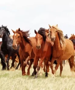 Herd Of Brown Horses Diamond Painting