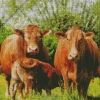 Herd Of Cows Diamond Painting