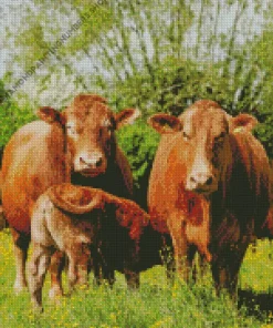 Herd Of Cows Diamond Painting