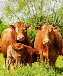 Herd Of Cows Diamond Painting