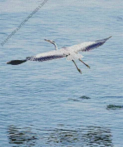 Heron Bird Flying Diamond Painting