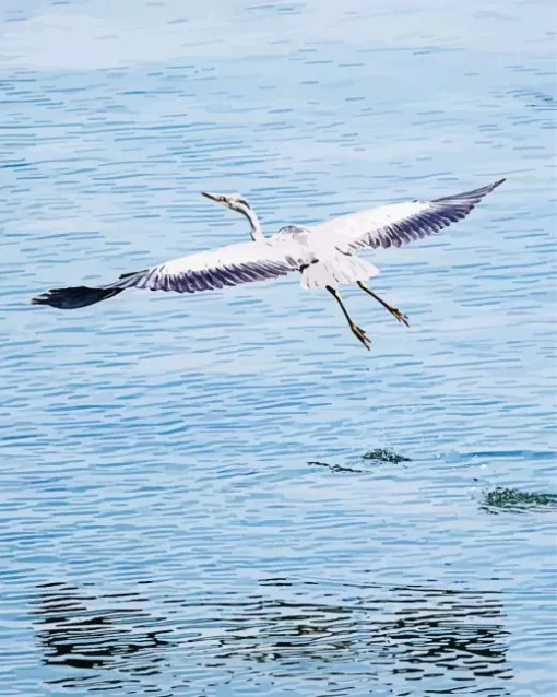 Heron Bird Flying Diamond Painting