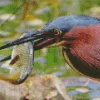 Heron Eating Fish Diamond Painting