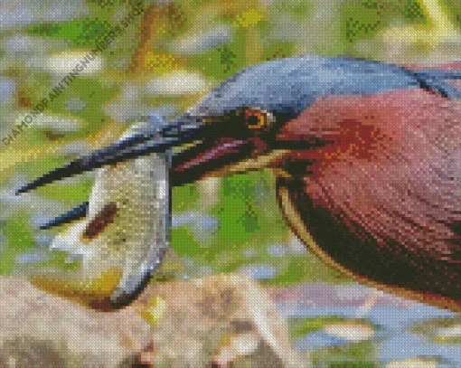 Heron Eating Fish Diamond Painting