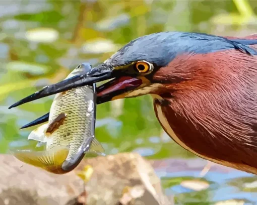 Heron Eating Fish Diamond Painting