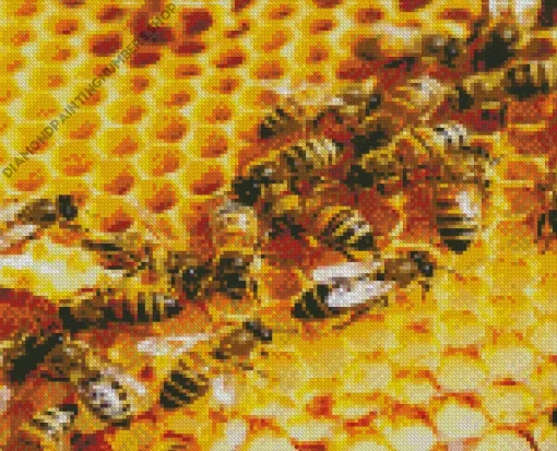 Honey Bee Hive Art Diamond Painting