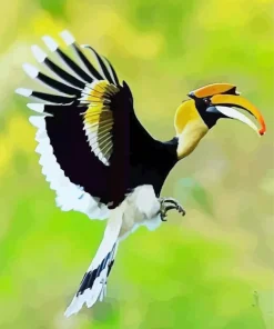 Hornbill Bird Flying Diamond Painting