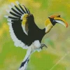 Hornbill Bird Flying Diamond Painting