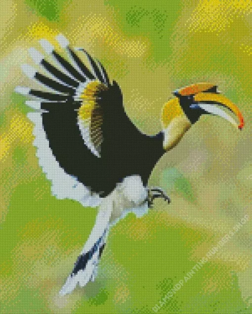 Hornbill Bird Flying Diamond Painting