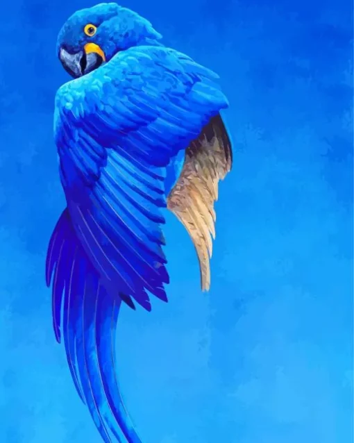 Hyacinth Macaw Bird Diamond Painting