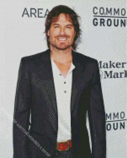 Ian Somerhalder Diamond Painting