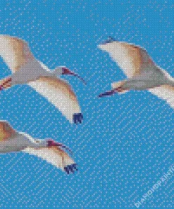 Ibis Birds Flying Diamond Painting