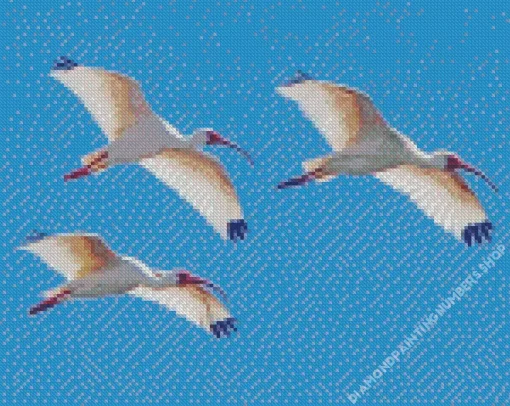 Ibis Birds Flying Diamond Painting