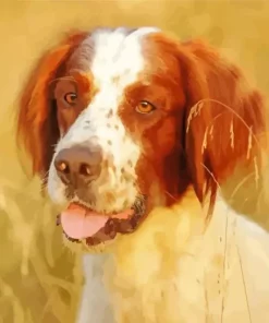 Irish Red And White Setter Diamond Painting