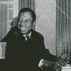 James Baldwin Diamond Painting