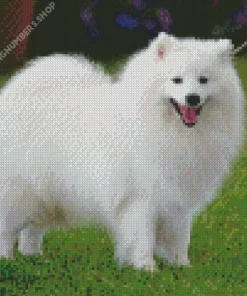 Japanese Spitz Dog Diamond Painting