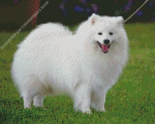 Japanese Spitz Dog Diamond Painting