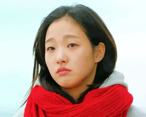 Ji Eun Tak Diamond Painting