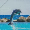 Jumping Dolphin Diamond Painting
