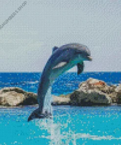 Jumping Dolphin Diamond Painting