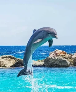 Jumping Dolphin Diamond Painting